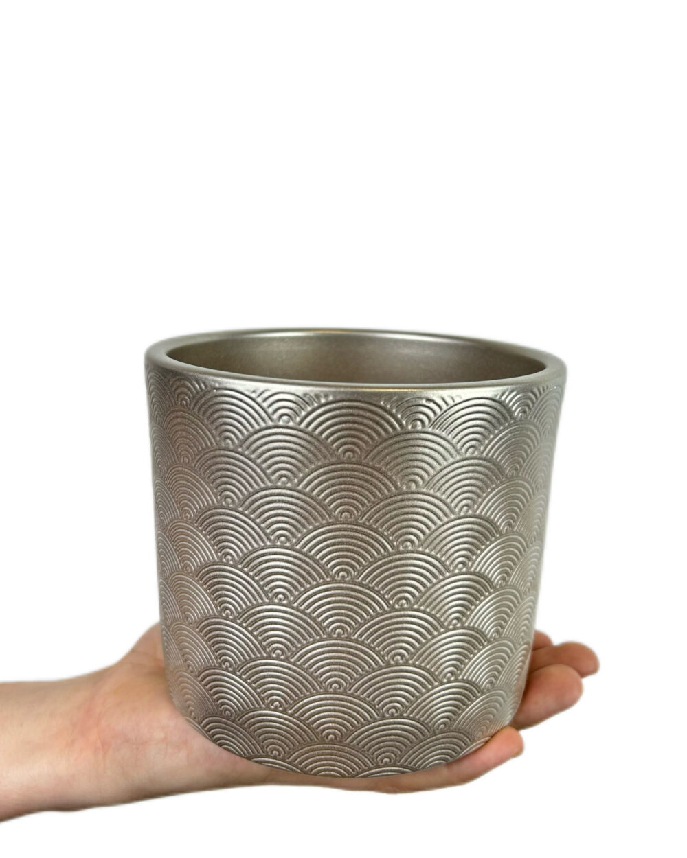 Šampanjec okrasni lonec Neapelj (12 cm)