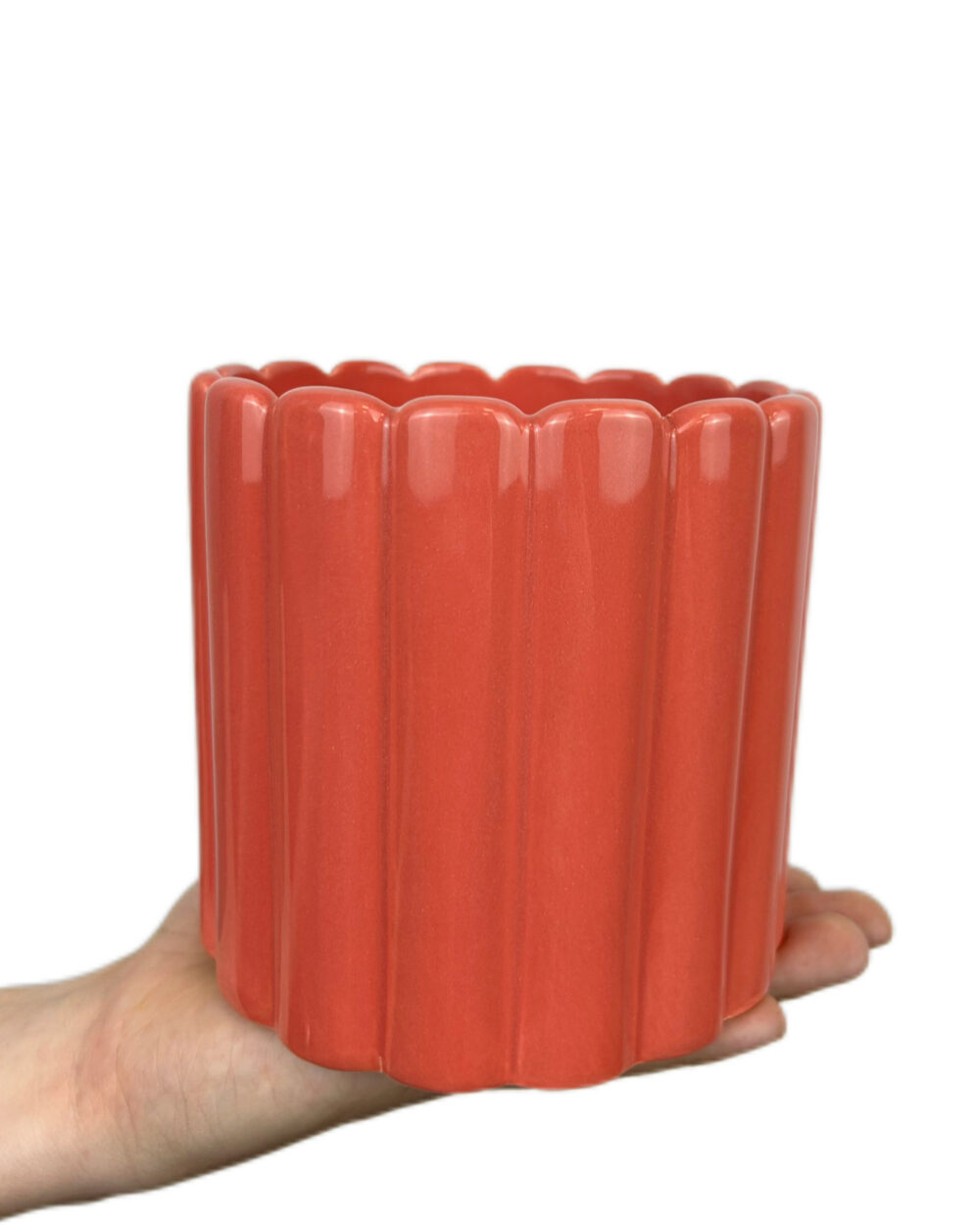 Mareličen Bliss okrasni lonec (12.5 cm)