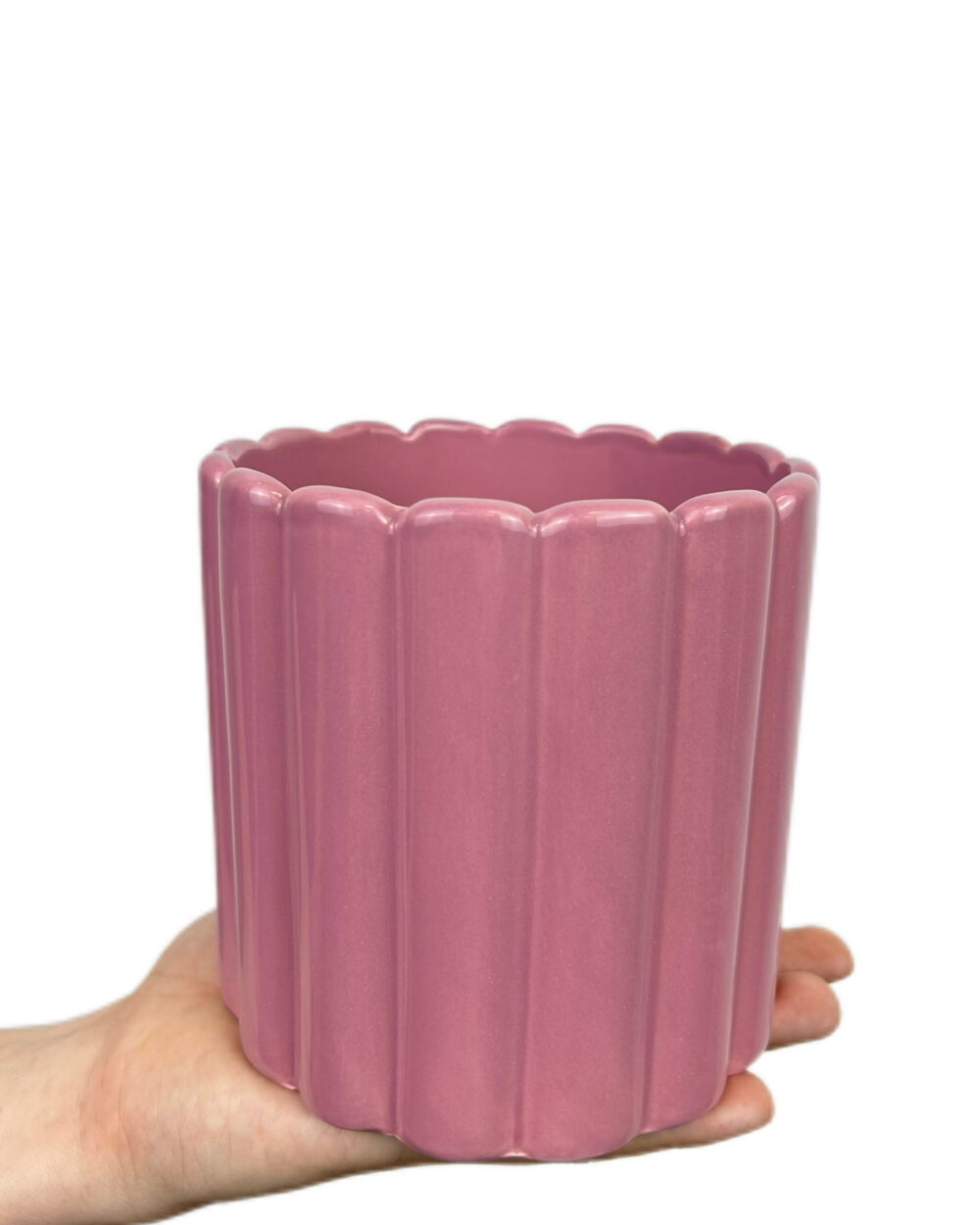 Roza Bliss okrasni lonec (12.5 cm)