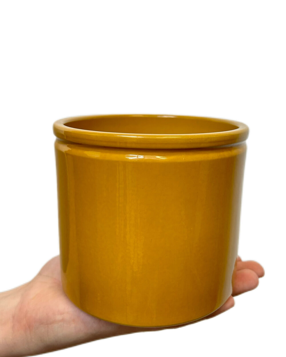 Curry svetleč okrasni lonec z robom (12 cm)