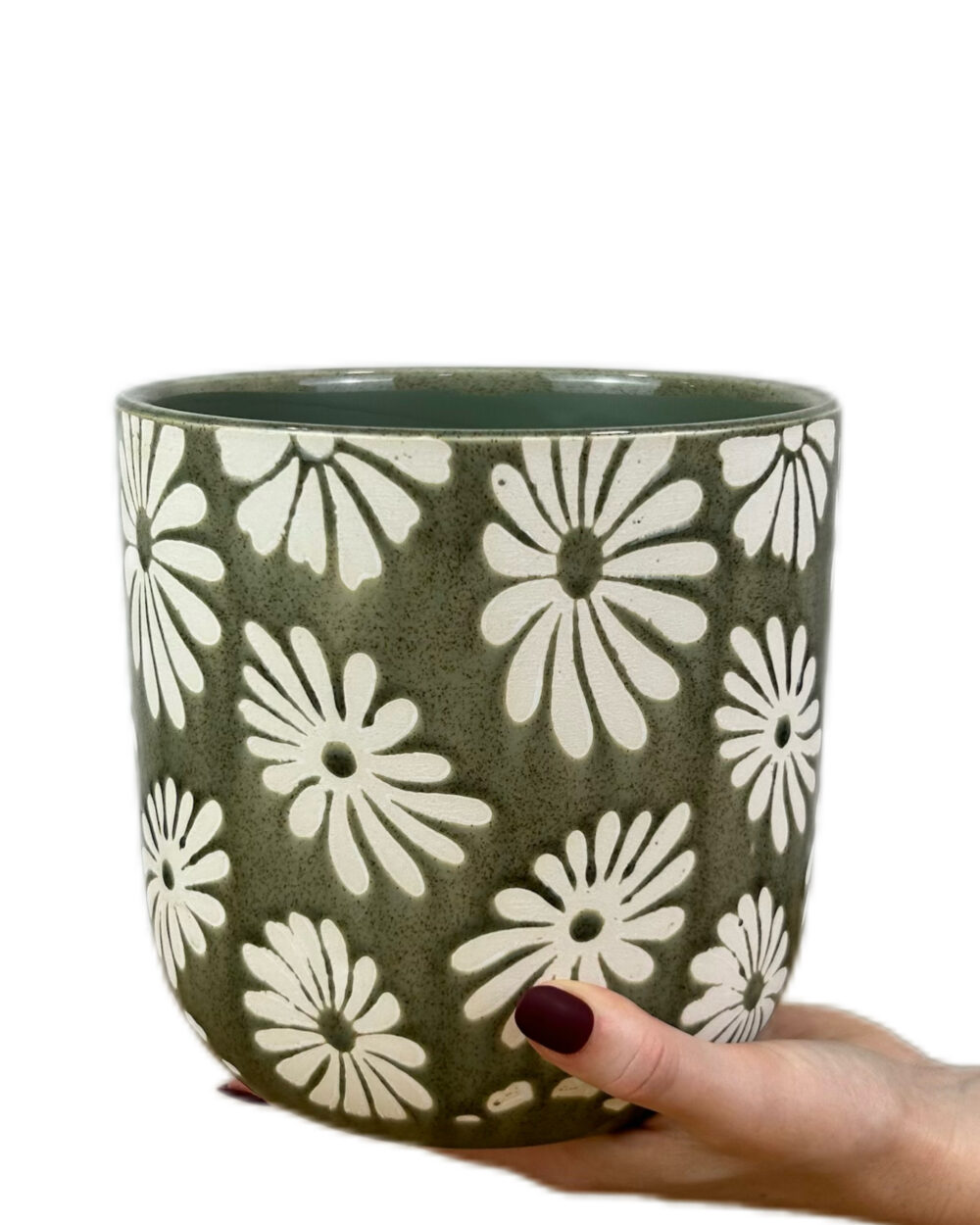 Zeleni Daisy okrasni lonec (15.5 cm)