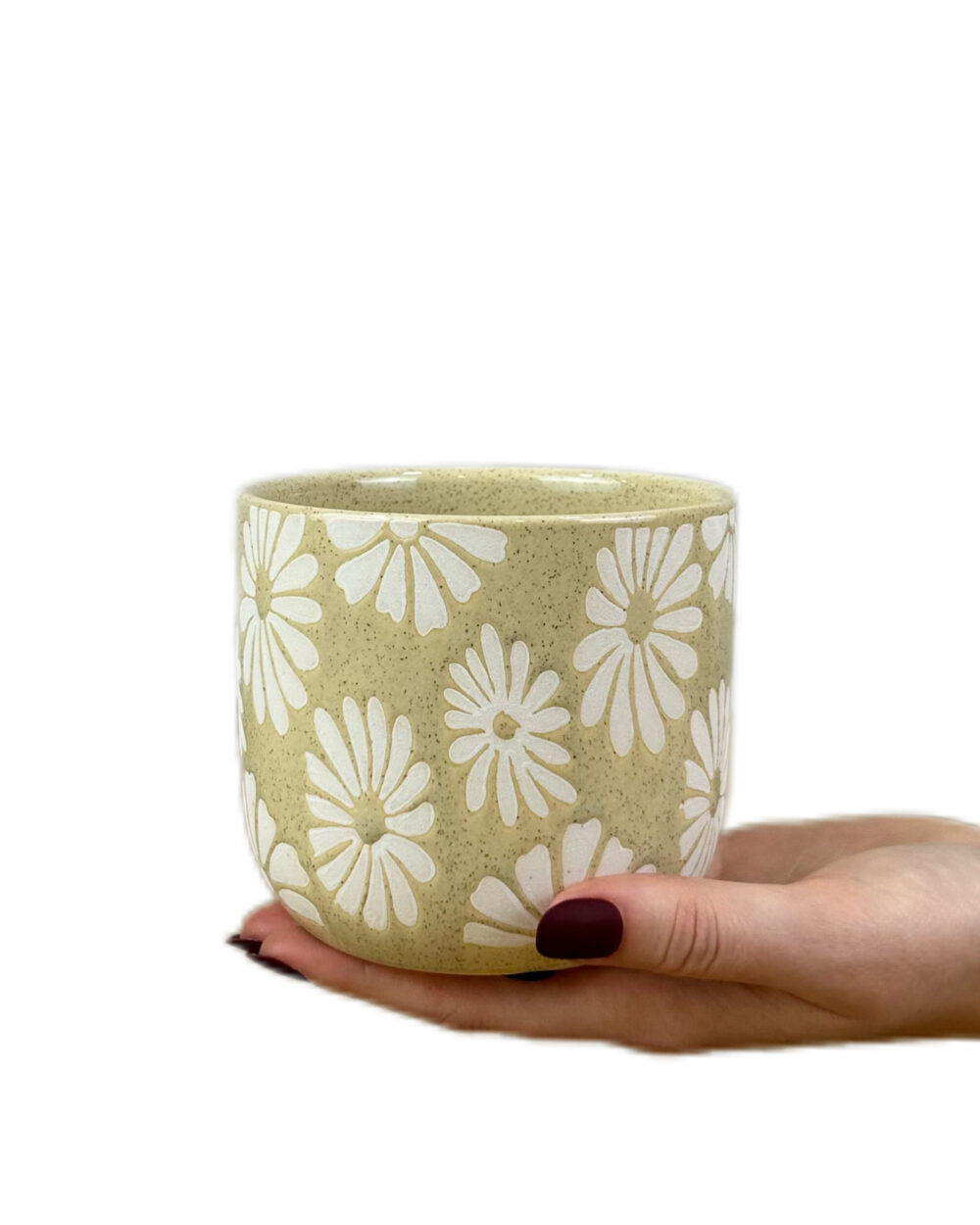 Kremni Daisy okrasni lonec (9.5 cm)