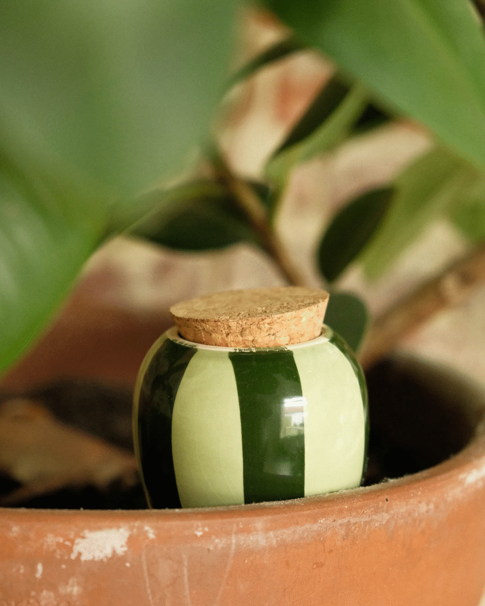 Olla Pepin – Dvojnozelena (vlažilka prsti)