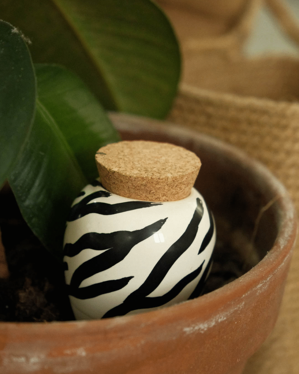 Olla Pepin – Zebra (vlažilka prsti)