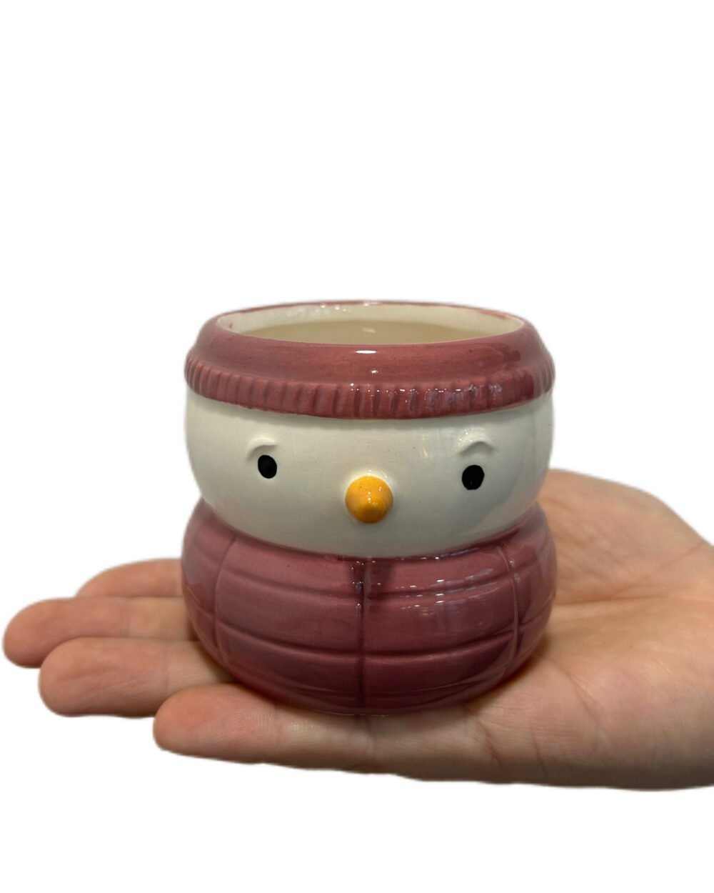 Roza okrasni lonec Snežak (6 cm)