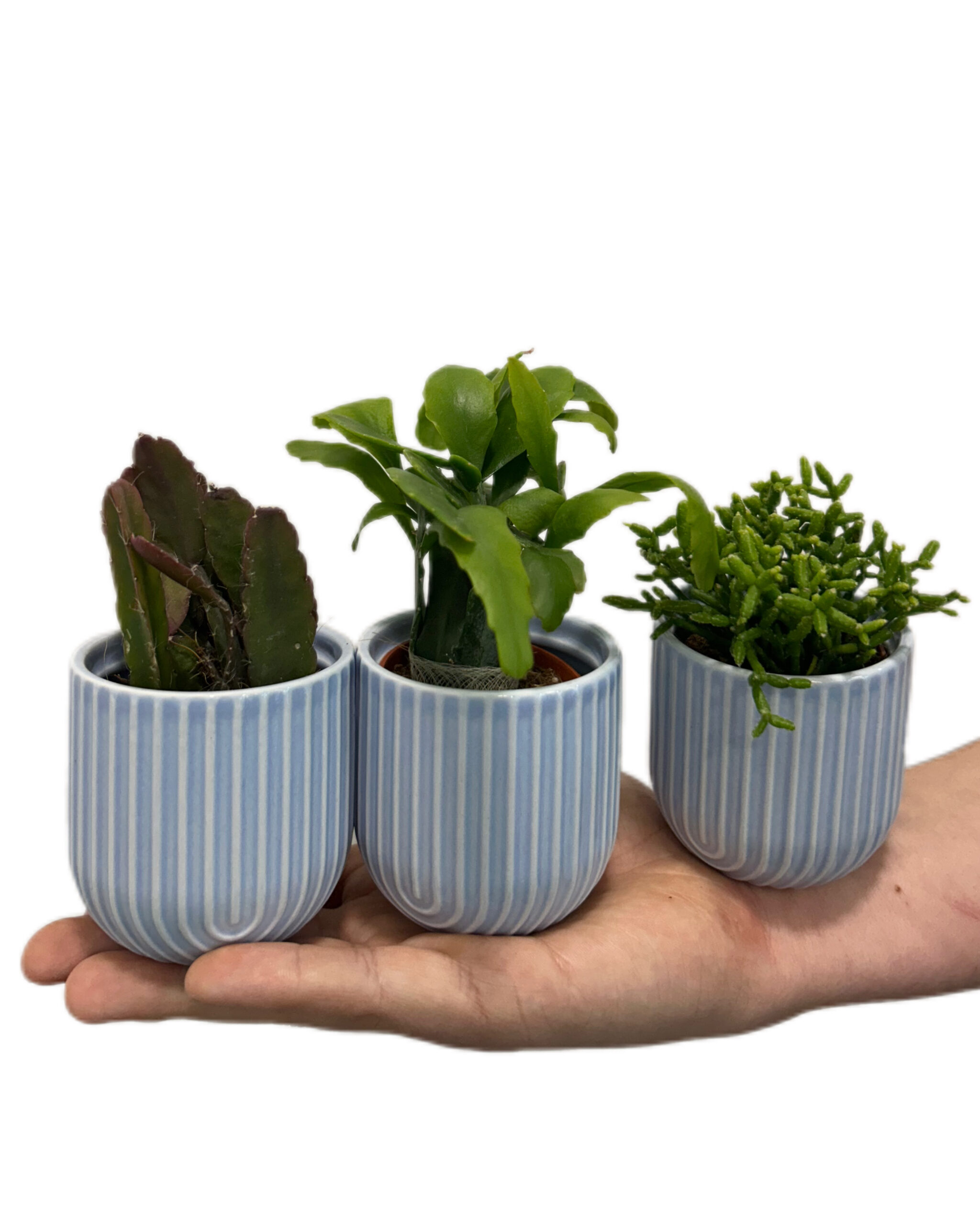 RHIMI553x3 RHIMI553x3