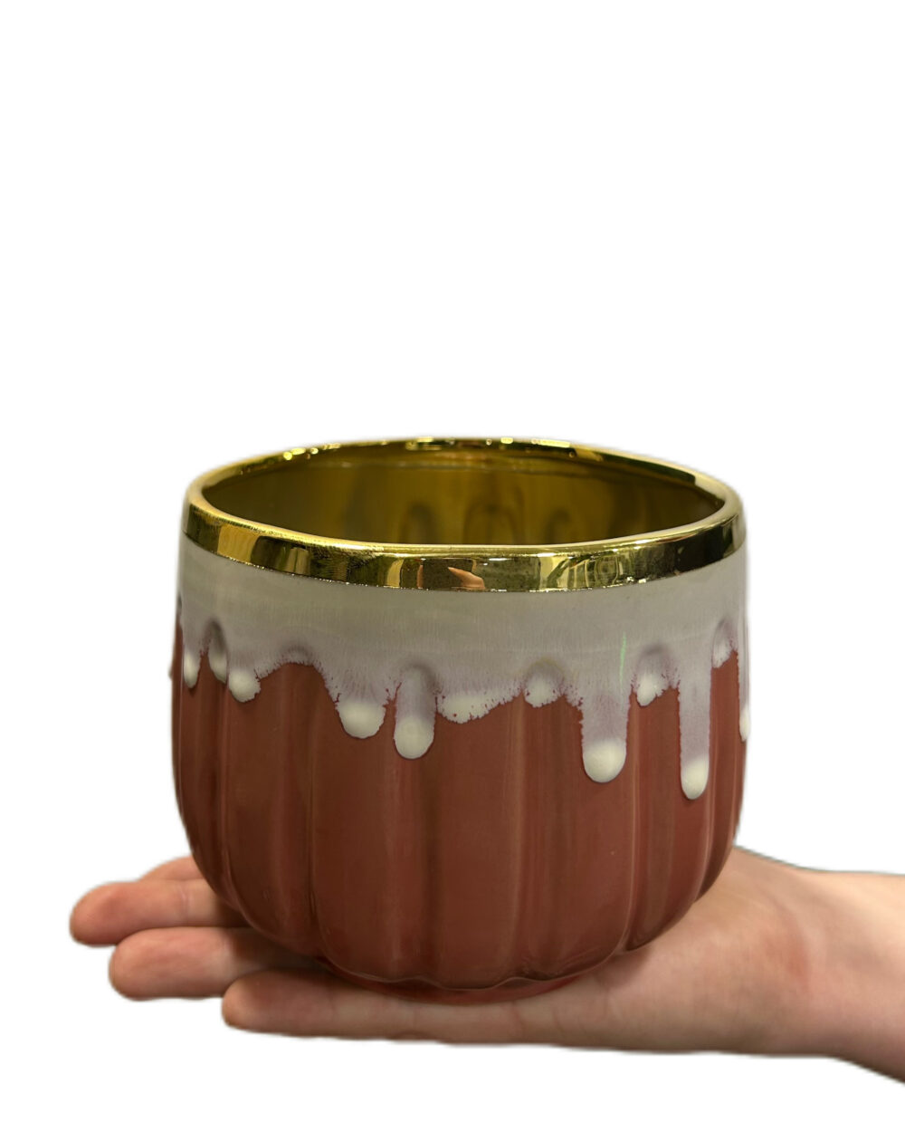 Roza okrasni lonec Cappuccino (12 cm)