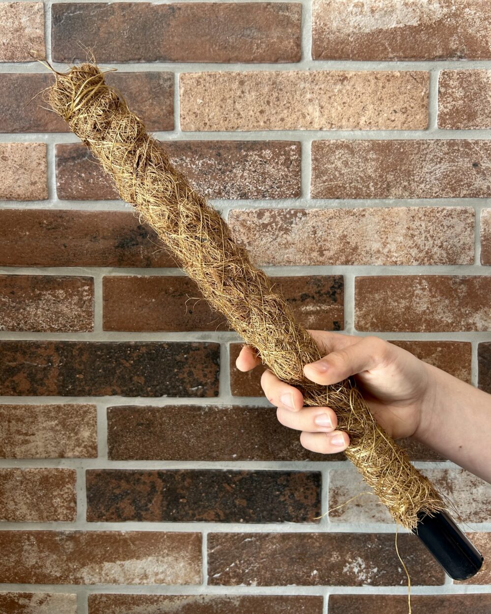 Opora iz kokosovih vlaken (50 cm)