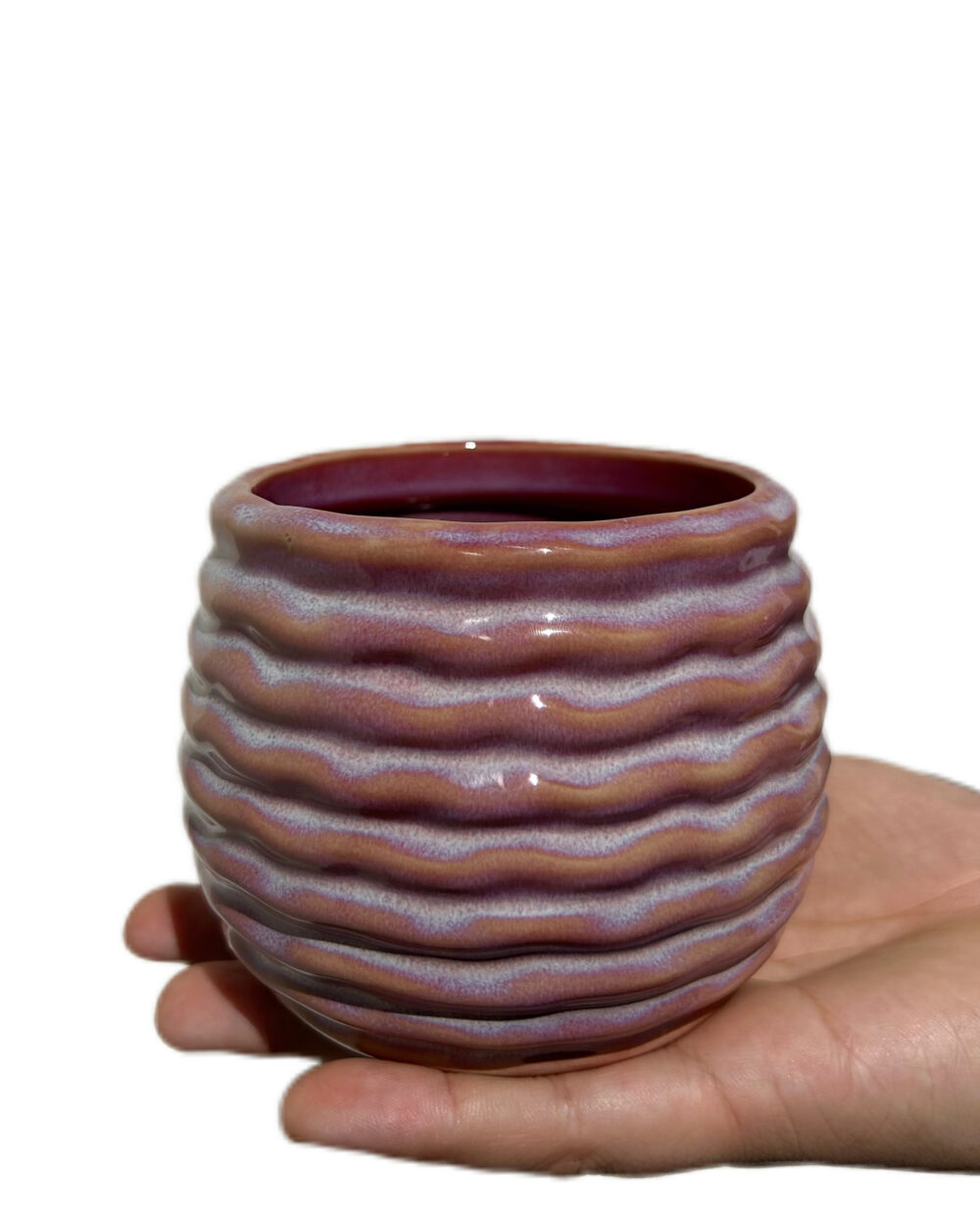Roza okrasni lonec Rise (8.5 cm)